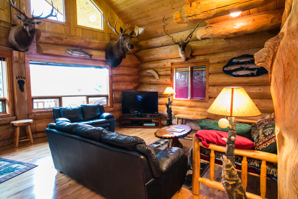 Eagle View Cabin Living Room
