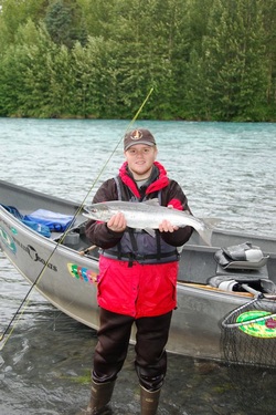 Silver Salmon caught on the Kasilof River