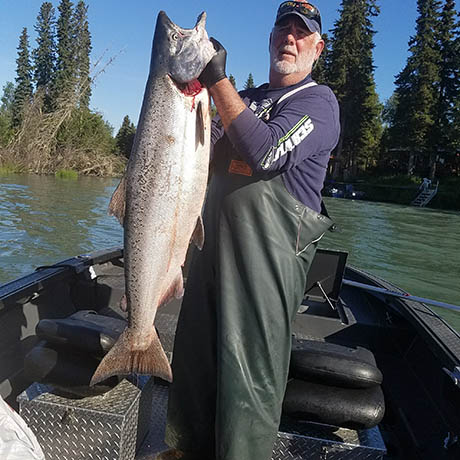 King Salmon caught on the Kenai River